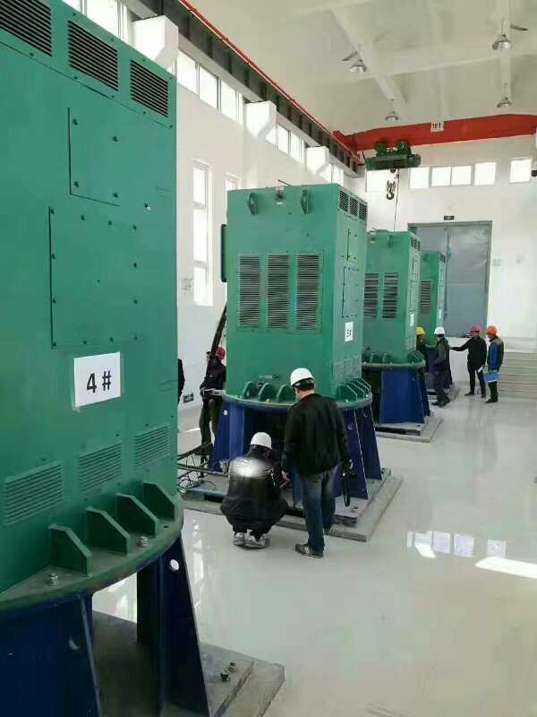 Y6301-10某污水处理厂使用我厂的立式高压电机安装现场