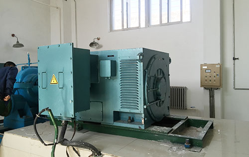 Y6301-10某水电站工程主水泵使用我公司高压电机
