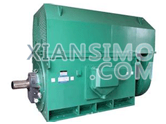 Y6301-10YXKK(2极)高效高压电机技术参数
