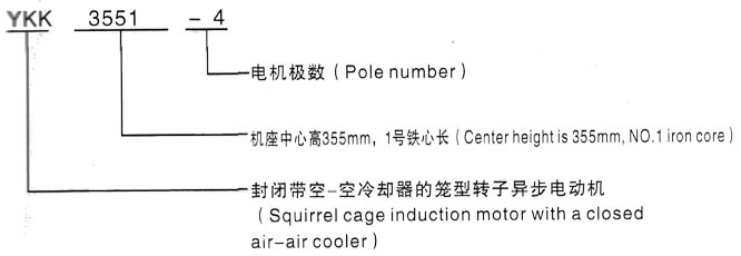 YKK系列(H355-1000)高压Y6301-10三相异步电机西安泰富西玛电机型号说明